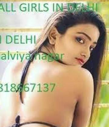 Low Rate Call Girls In Sector 161 Noida 9818667137 Delhi Escorts